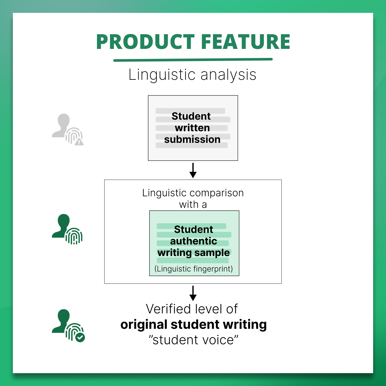 Linguistic analysis(4)